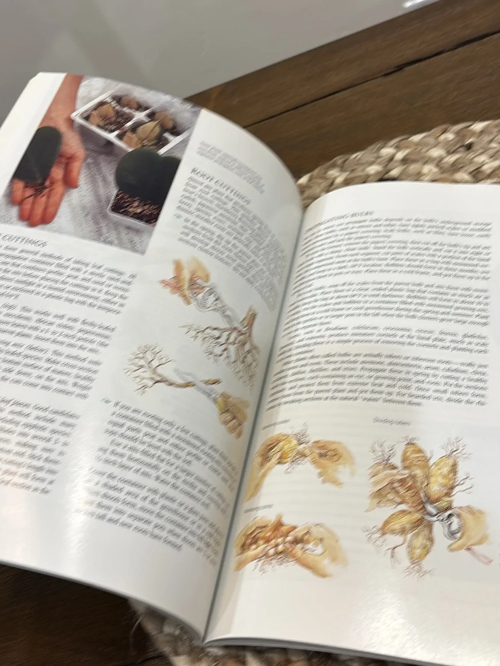 Sunset greenhouses book